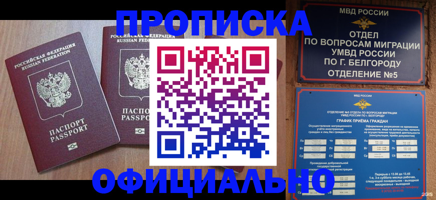 найти адрес прописки в Петропавловске-Камчатском