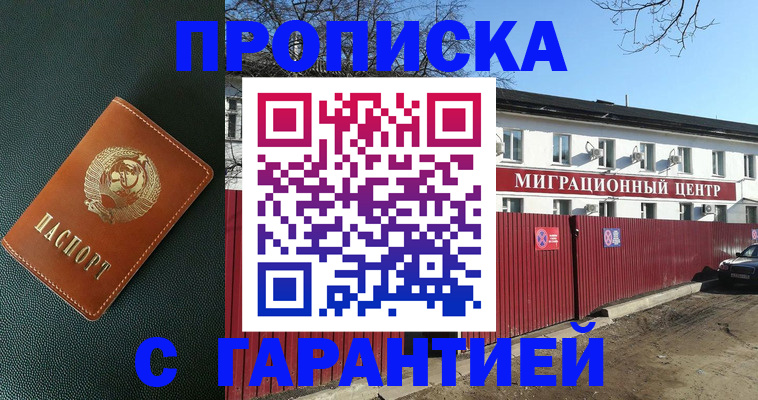 прописка поиск в Петропавловске-Камчатском